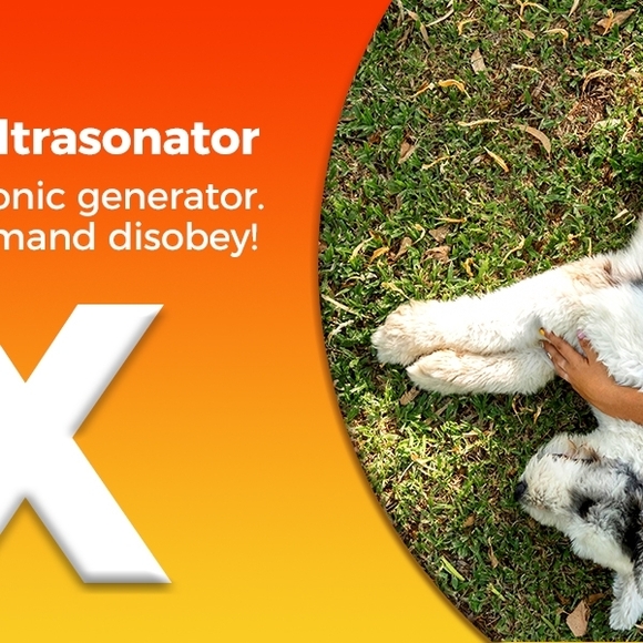 Advanced Orange Dog Training Device - Picture 2 of 4